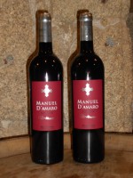 Manuel D'Amaro  uva Souson  Bodegas Coto Redondo